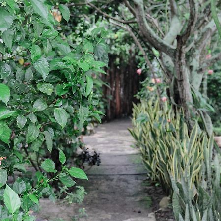 Tiara Homestay Plambi 外观 照片