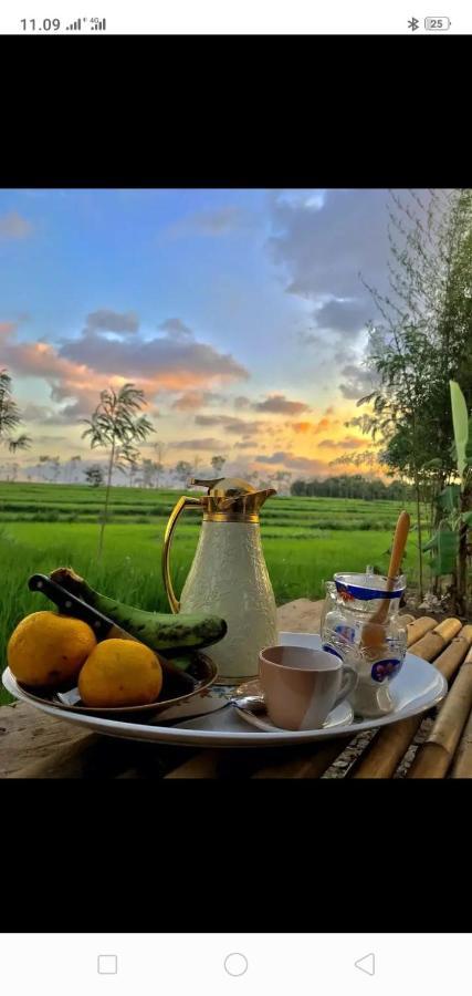 Tiara Homestay Plambi 外观 照片