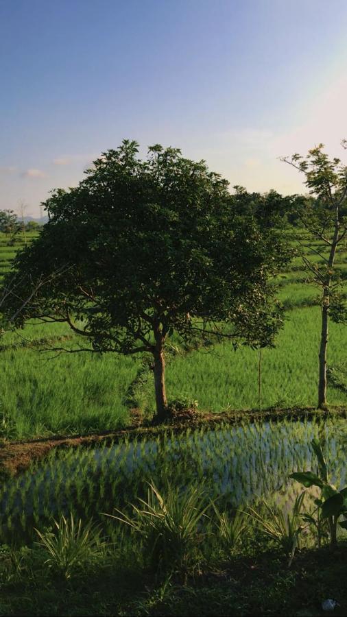 Tiara Homestay Plambi 外观 照片