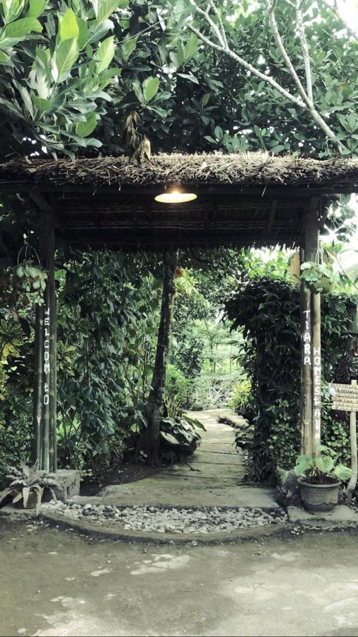 Tiara Homestay Plambi 外观 照片