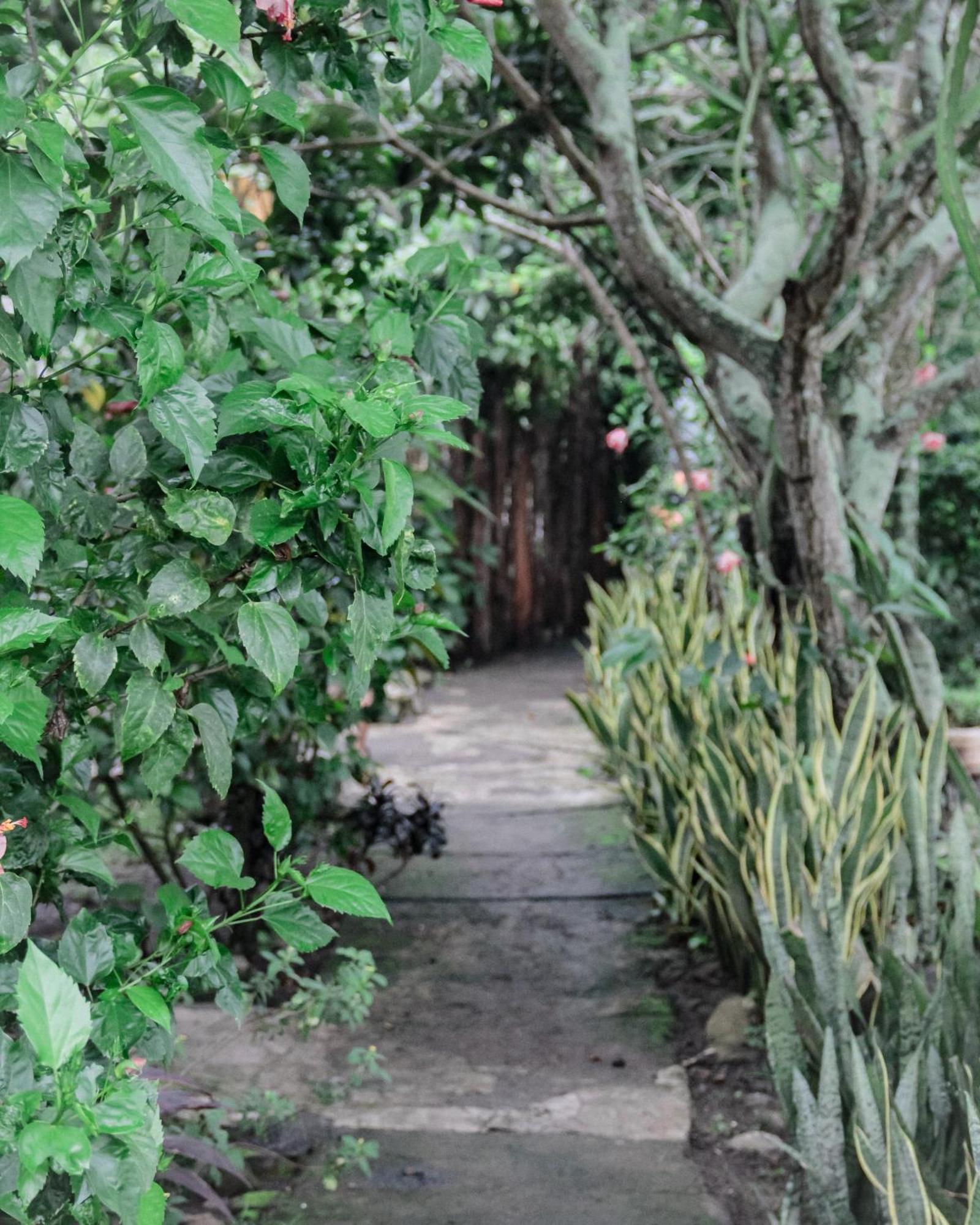 Tiara Homestay Plambi 外观 照片